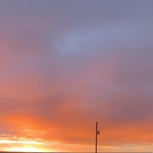 Meet your Posher, Joni